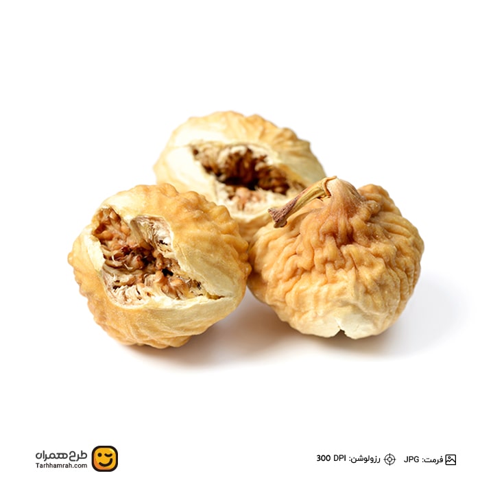 تصویر شاخص