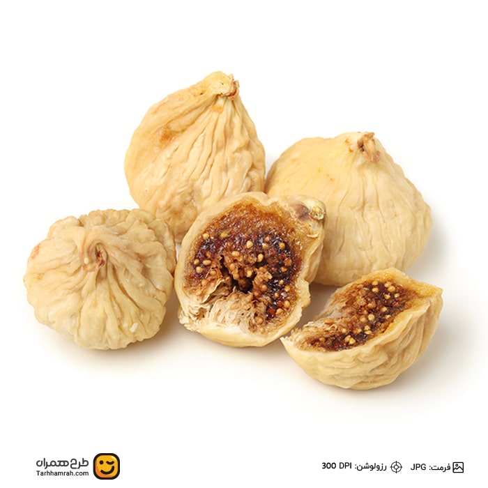 تصویر شاخص
