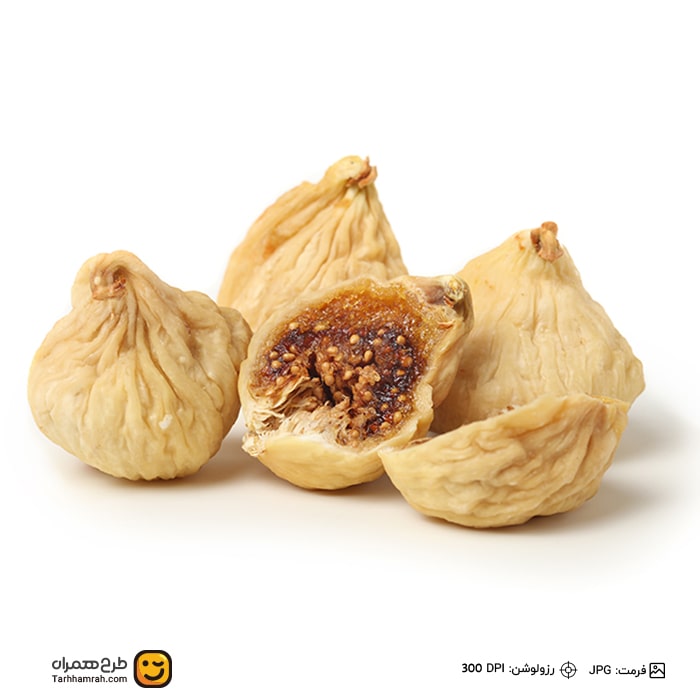 تصویر شاخص